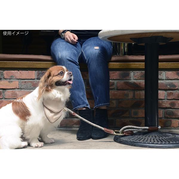 ハイ5ドッグ クリックリード 11mm チャコール（係留 犬