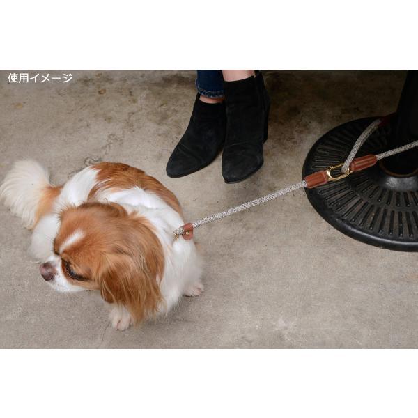 HIGH5DOGS クリックリード 11mm チャコール Amazon | HIGH5DOGS クリックリード 11mm チャコール