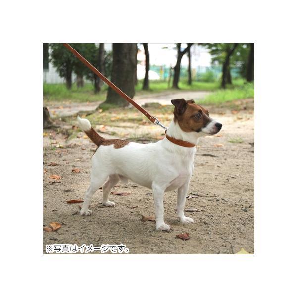 コロコ 栃木レザー リード 18mm ライトブラウン本革 : ペットショップ