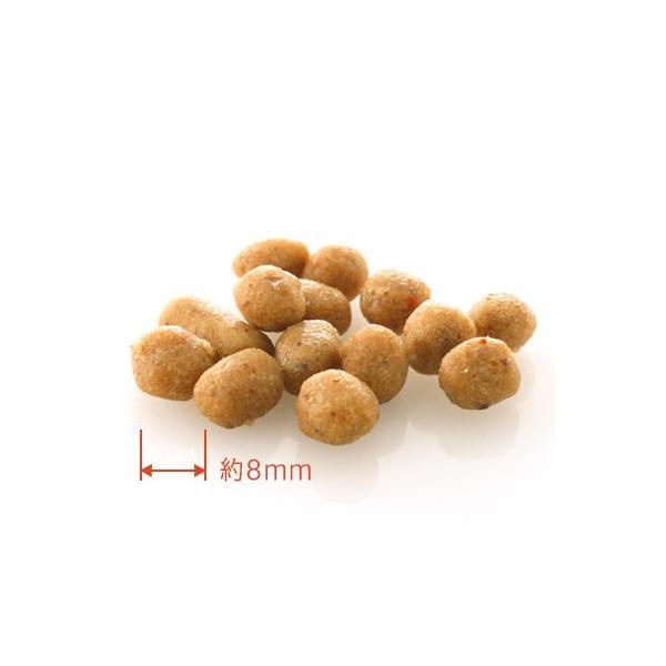 ドットわん豚ごはん3kg ドットわん 豚ごはん 3kg（ドットわん）（ドットわん DOTWAN 国産 無