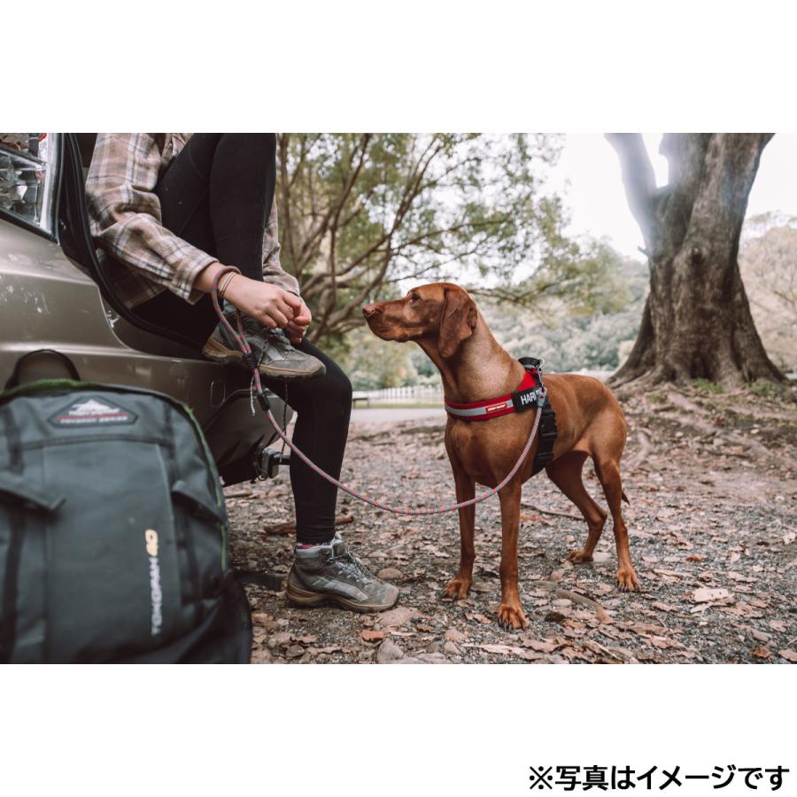 EZYDOG エクスプレスハーネス XL グリーンカモフラージュ イージードッグ EZYDOG エクスプレスハーネス XL グリーンカモ
