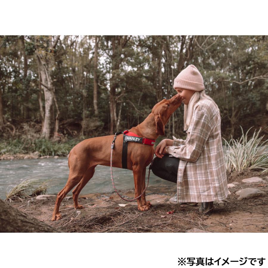 イージードッグ EZYDOG エクスプレスハーネス XL グリーンカモ