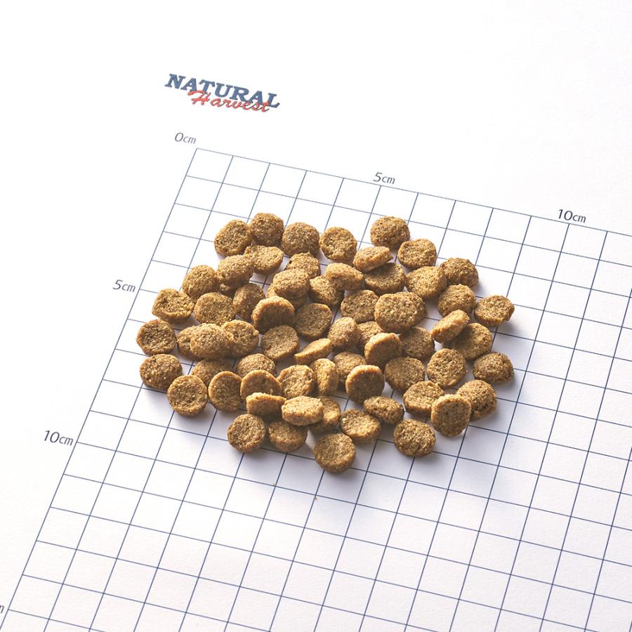 ナチュラルハーベスト ドッグフード スキン＆コート 皮膚 被毛ケア 6kg 無添加 犬用 日本専用_1
