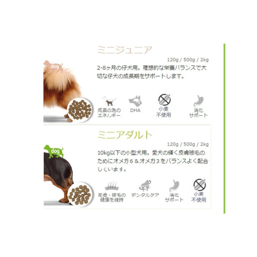 NATURE'S PROTECTION（ネイチャーズプロテクション） ドッグフード