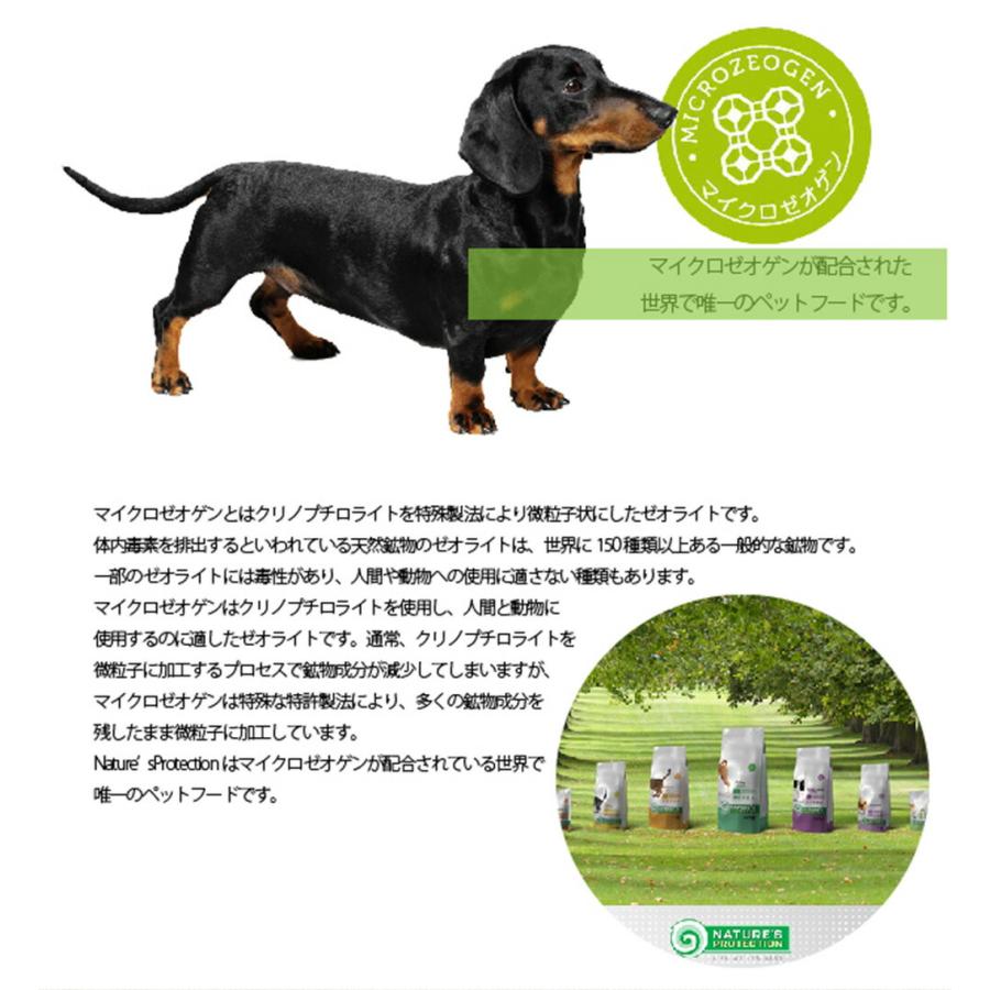 NATURE'S PROTECTION（ネイチャーズプロテクション） ドッグフード