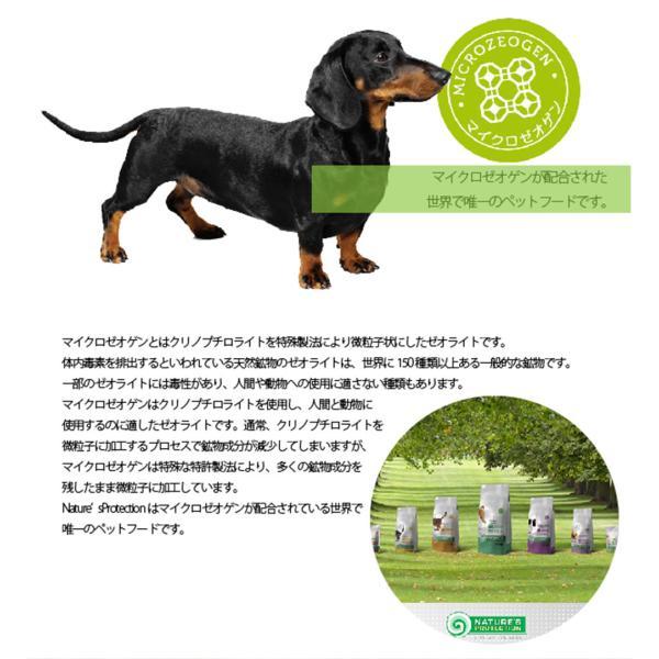 ネイチャーズプロテクション ドッグフード ホワイトドッグ 1.5kg（白毛種 ホワイトコート 成犬 無添加 涙やけ）