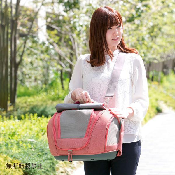 テラモト（TERAMOTO） OPPO オッポ Pet Carrier muna FL ペット
