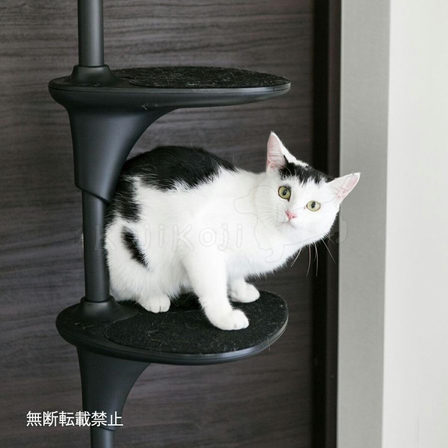 OPPO オッポ キャットタワー 突っ張り スリム キャットフォレスト ツー CatForest-2 ブラック 猫 | OPPO（ペット） | 06