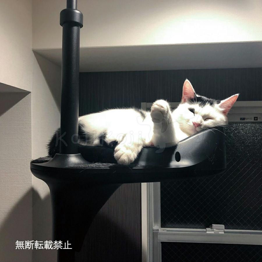 OPPO オッポ キャットタワー 突っ張り スリム キャットフォレスト ツー CatForest-2 ブラック 猫 | OPPO（ペット） | 08