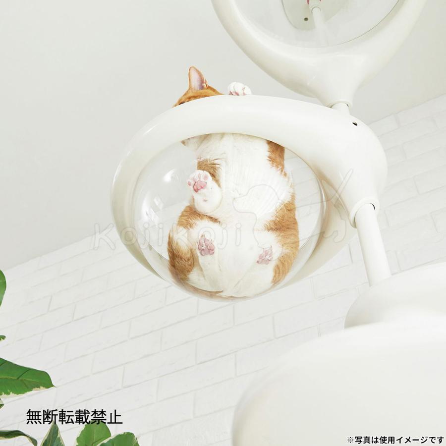 OPPO オッポ キャットフォレスト2用オプション ClearBowl クリアボウル