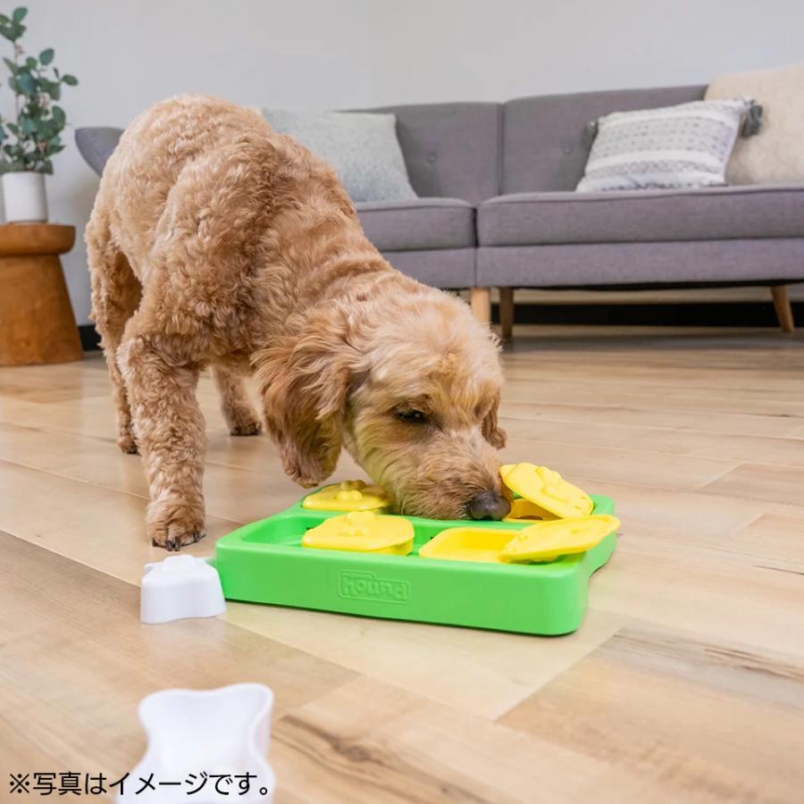 ニーナ オットソン 知育トイ トリーツゲーム ブリック ミニ 犬用