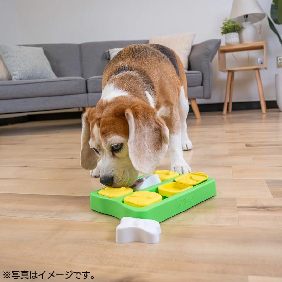 ニーナ オットソン 知育トイ トリーツゲーム ブリック ミニ 犬用