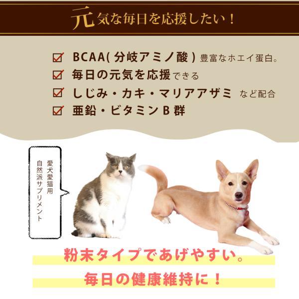 GLORY DOG＆EARTH 犬猫用サプリメント 肝パワー元気 200g_1