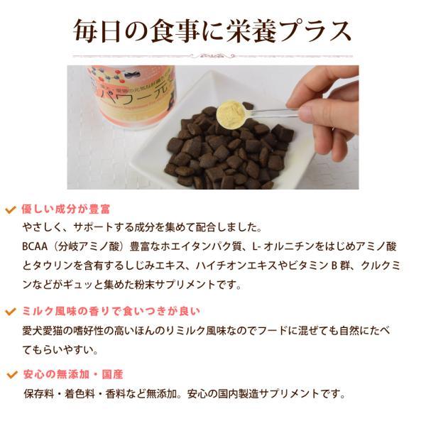 GLORY DOG＆EARTH 犬猫用サプリメント 肝パワー元気 200g_2