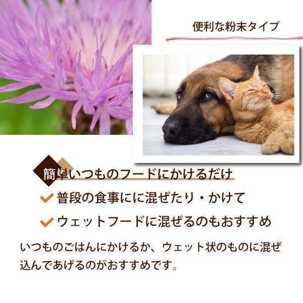 GLORY DOG＆EARTH 犬猫用サプリメント 肝パワー元気 200g_3