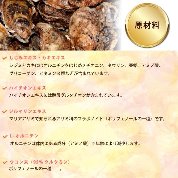 GLORY DOG＆EARTH 犬猫用サプリメント 肝パワー元気 200g_4