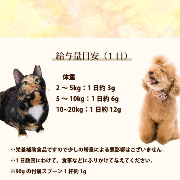 GLORY DOG＆EARTH 犬猫用サプリメント 肝パワー元気 200g_5