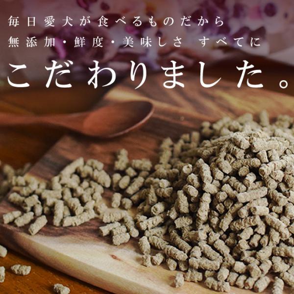 帝塚山ハウンドカム ホリスティッククッキング フィッシュ 1kg