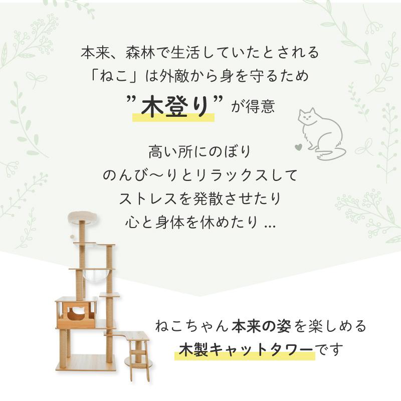 Wanyanya わにゃにゃ 木登りアスレチックタワー ワイドタイプ【送料無料】_3