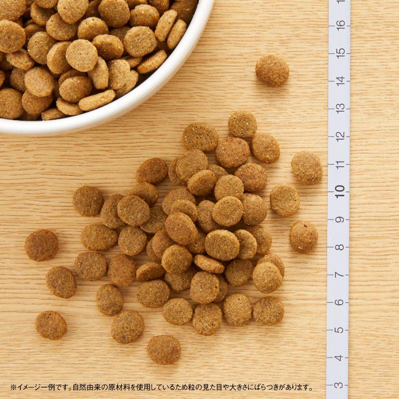 ニュートロ ドッグフード ナチュラルチョイス ラム＆玄米 子犬用 全犬