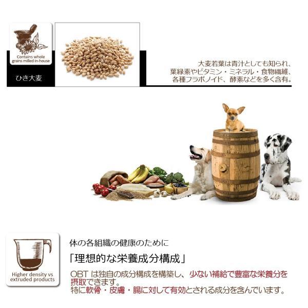 オーブンベイクド トラディション ドッグフード シニア＆ウエイトマネージメント 大粒 11.34kg トラディション ドッグフード シニア＆ウエイトマネージメント 大粒