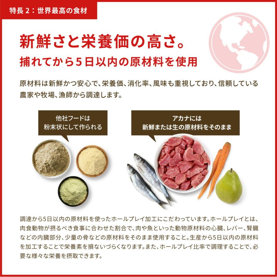 倍々+5倍！最大ポイント26倍！本日限定！アカナ ACANA ドッグフード アダルトスモールブリードレシピ 小型犬 成犬用 穀物不使用 6kg 正規品 無添加の画像