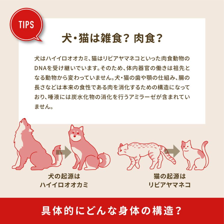 倍々+5倍！最大ポイント26倍！本日限定！アカナ ACANA ドッグフード アダルト ドッグレシピ 全犬種 成犬用 穀物不使用 6kg 正規品 無添加の画像