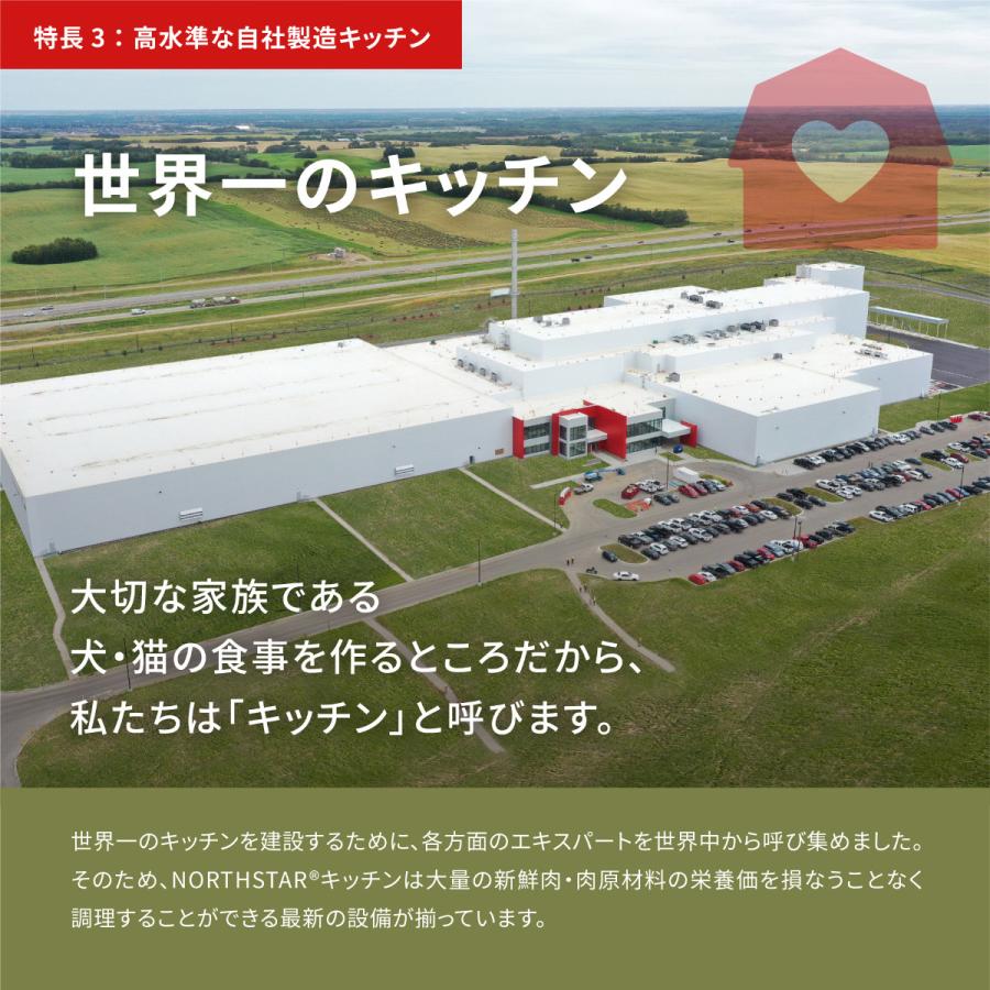 倍々+5倍！最大ポイント26倍！本日限定！アカナ ACANA キャットフード インドアエントリーキャット 穀物不使用 4.5kg×3個 全年齢猫用 グレインフリーの画像