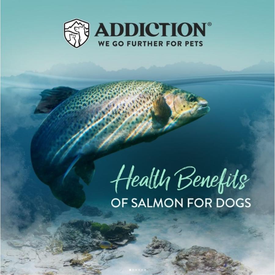 アディクション ADDICTION ドッグフード サーモンブルー グレインフリー 4.8kg（800g×6個） 犬 ペットの画像