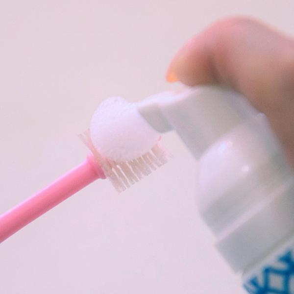 パシュートオブラブ PURSUIT OF LOVE 艶色〜泡歯磨き〜 50ml 犬 デンタルケア 歯磨き ハミガキ 無添加 国産 |  | 01