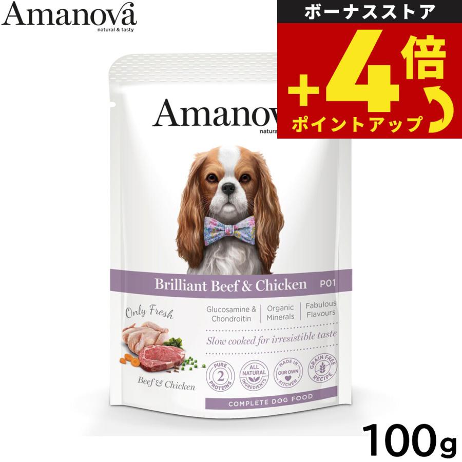 アマノバ ドッグフード パウチ アダルト ブリリアント ビーフ アンド チキン ウェットフード 成犬用 100g 無添加 | ブランド登録なし