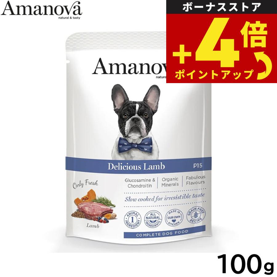 アマノバ Amanova ドッグフード パウチ アダルト デリシャス ラム ウェットフード 成犬用 100g 無添加 | ブランド登録なし