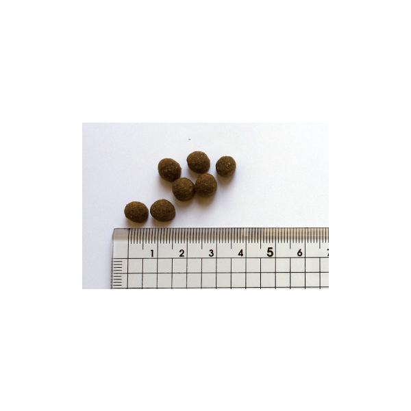BLACKWOOD（ブラックウッド） パピー ドッグフード 20kg 子犬用 無添加