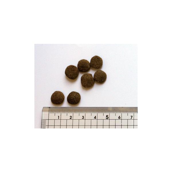 BLACKWOOD（ブラックウッド） 5000 BLACKWOOD ドッグフード 20kg