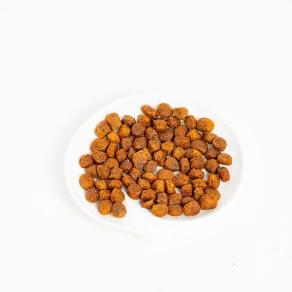 ブリットケア ミニ Brit Care MINI ドッグフード グレインフリー