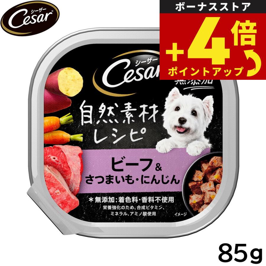 シーザー 倍々+5倍！最大ポイント26倍！本日限定！シーザー 