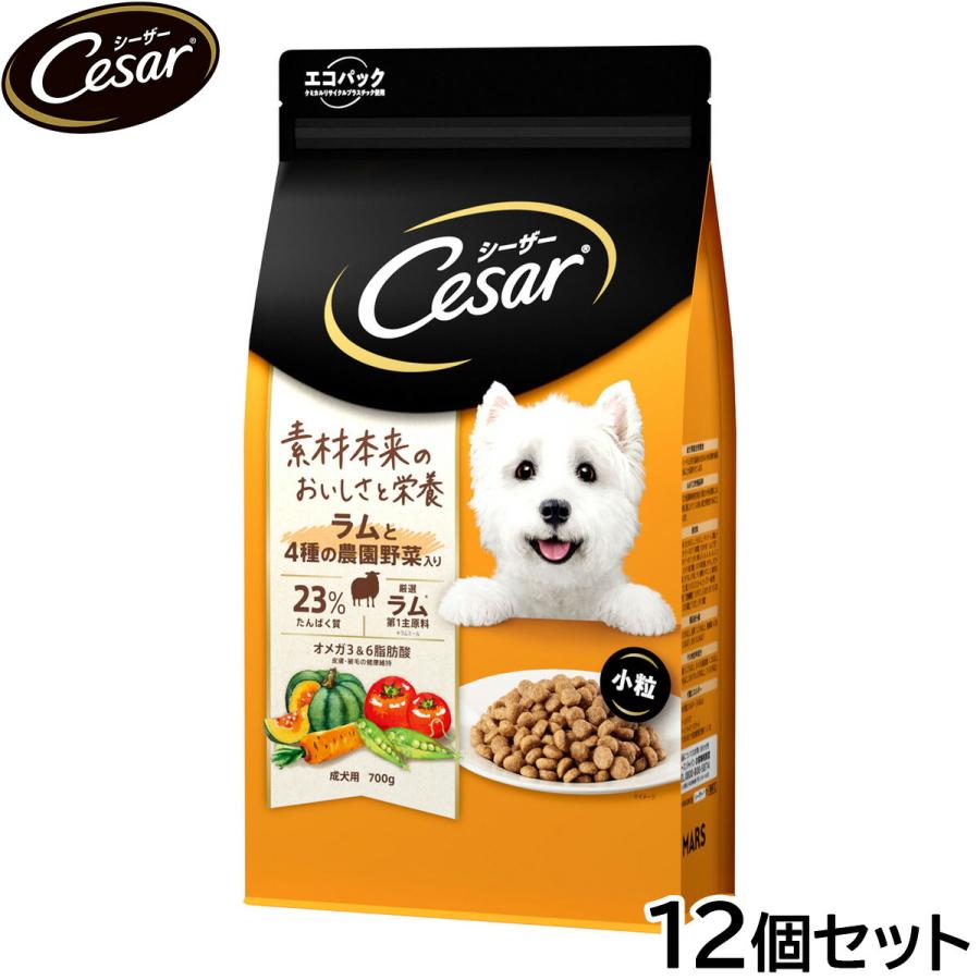 シーザー 倍々+5倍！最大ポイント30倍！本日限定！シーザー