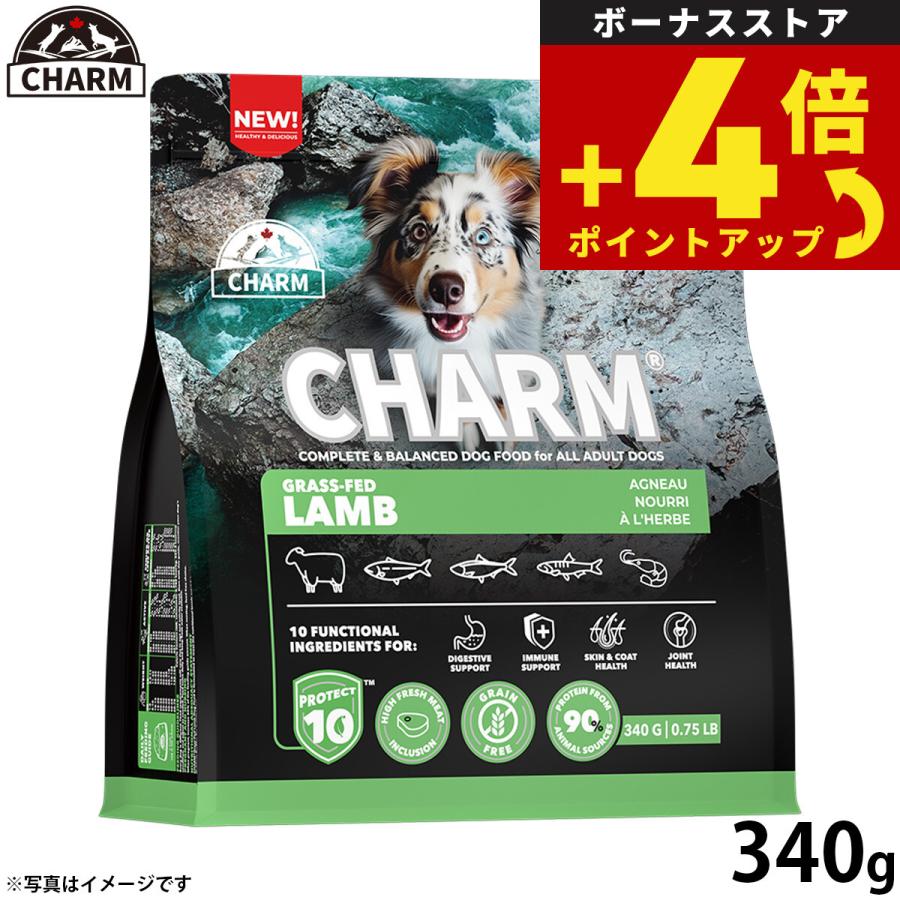 チャーム CHARM グラスフェッドラム ラム肉 ドッグフード グレインフリー 340g 無添加 穀物不使用 犬 | 