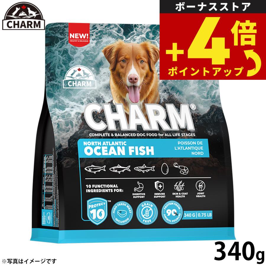 チャーム ノース アトランティック オーシャン フィッシュ サーモン ドッグフード グレインフリー 340g 無添加 | 