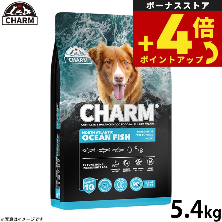チャーム ノース アトランティック オーシャン フィッシュ サーモン ドッグフード グレインフリー 5.4kg 無添加 | 
