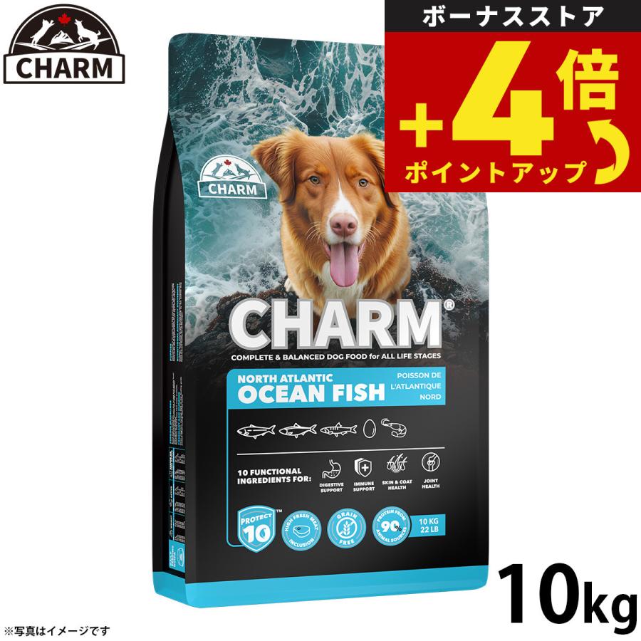 チャーム ノース アトランティック オーシャン フィッシュ サーモン ドッグフード グレインフリー 10kg 無添加 | 