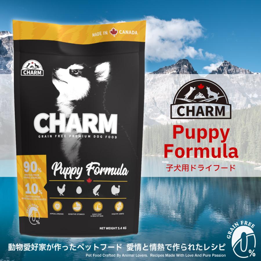 CHARM チャーム ラム&サーモンドッグ 340g 犬用 いぬ用 ドッグフード