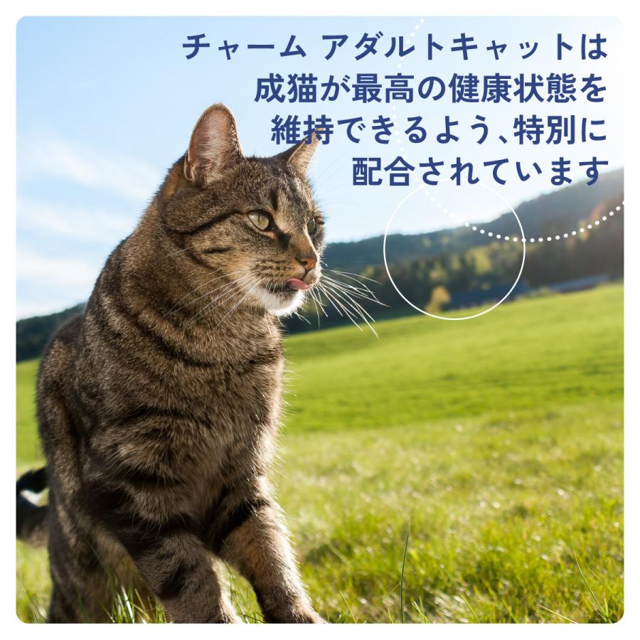 倍々+5倍！最大ポイント26倍！本日限定！チャーム CHARM キャットフード アダルトキャット 成猫用 穀物不使用 1kg 正規品 無添加 グレインフリー | チャーム（ペット） | 02