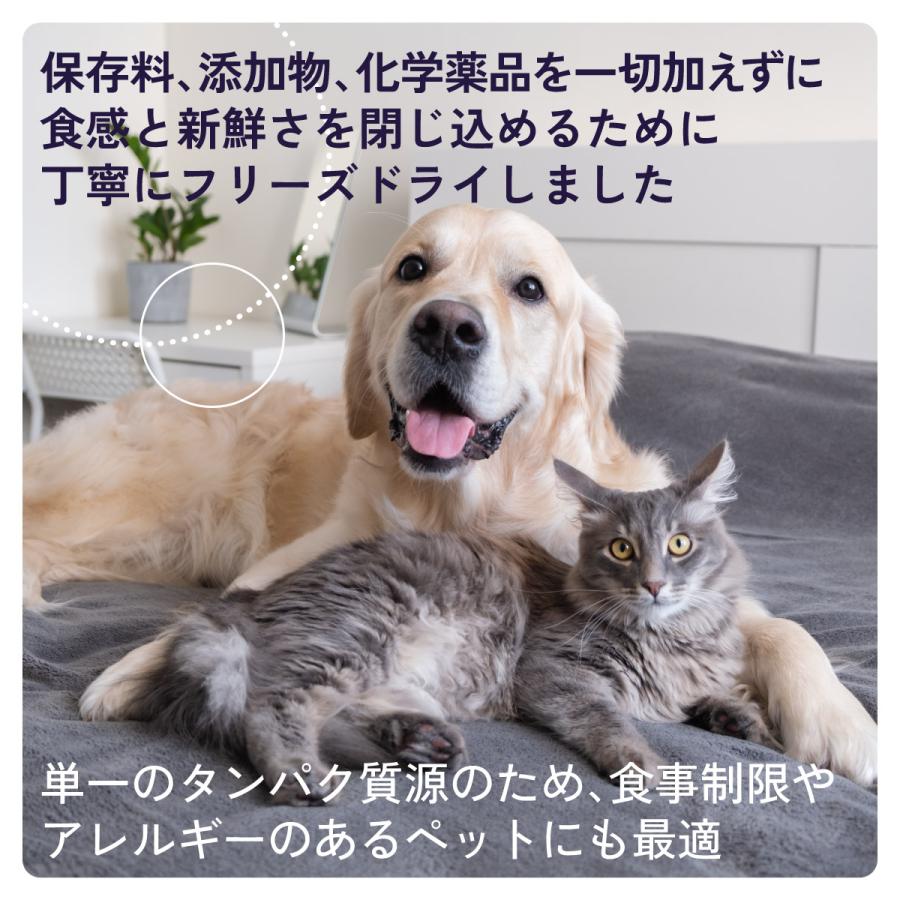 チャーム CHARM フリーズドライトリーツ まぐろキューブ＆スッポン卵 犬猫兼用おやつ 40g 正規品 無添加 | チャーム（ペット） | 02