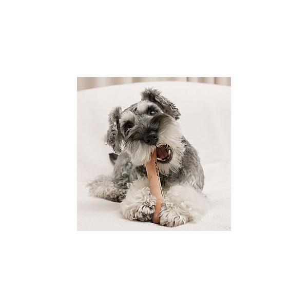 Chew for more Trees（チュウ フォー モア トリーズ） Sサイズ小型犬〜中型犬向き |  | 02