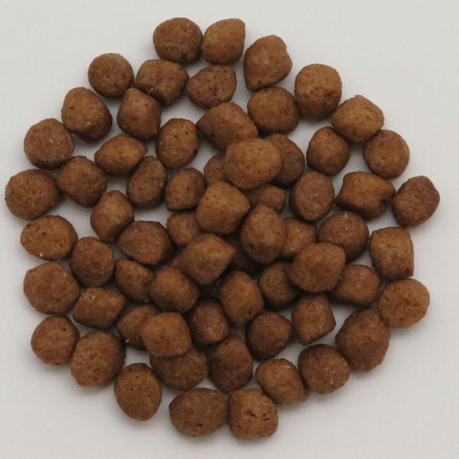 ドクタープロ Dr.PRO スキンケア オールステージ 800g ドッグフード 国産 犬 | ブランド登録なし | 01