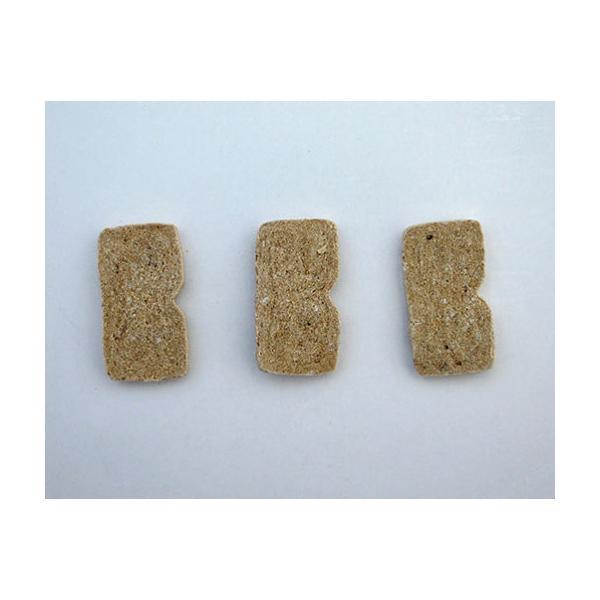 ドットわん トリーツ フルーツクッキー リンゴ 55g 無添加 愛犬用おやつ 国産 | ドットわん | 01