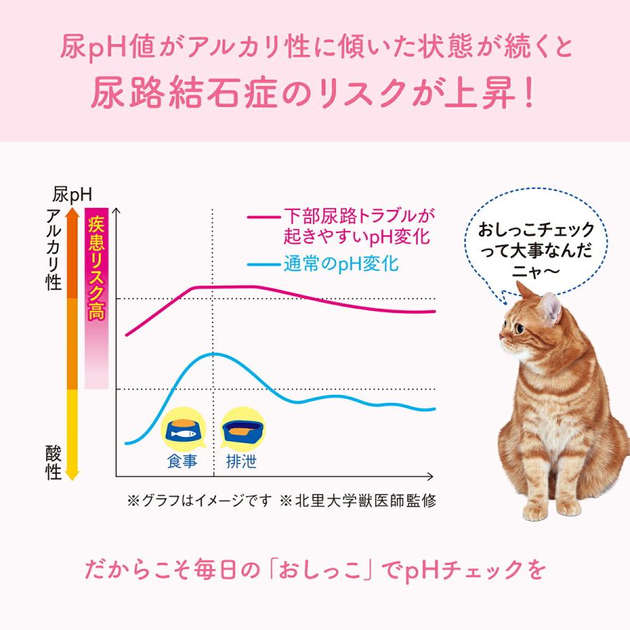 倍々+5倍！最大ポイント26倍！本日限定！エリエール キミおもい おしっこチェックできる 固まる紙のネコ砂 5L×10袋【送料無料】の画像