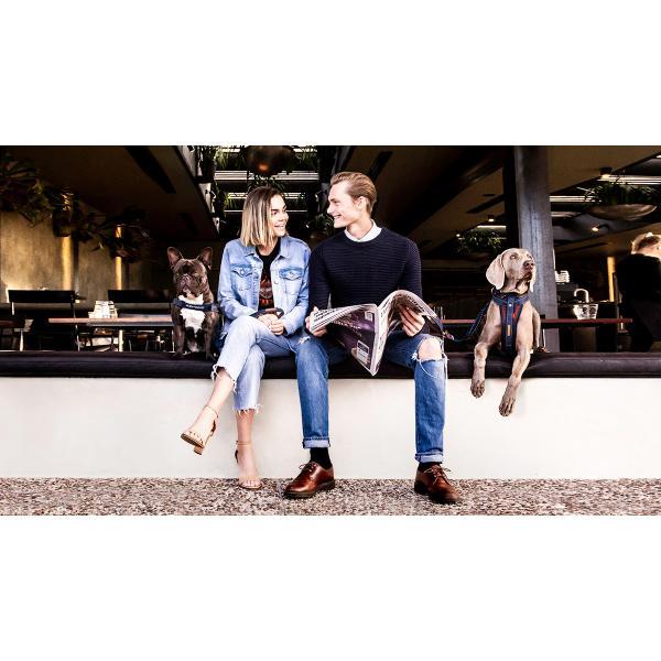 倍々+5倍！最大ポイント30倍！11月5日！イージードッグ EZY DOG ゼロショックライト リード 120cm デニム |  | 02