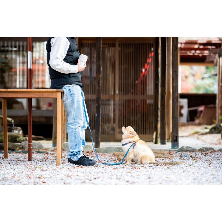 倍々+5倍！最大ポイント26倍！本日限定！イージードッグ プレミアム デニム コレクション ロードランナー ライト リード たすき掛け ショルダーリード | ブランド登録なし | 01